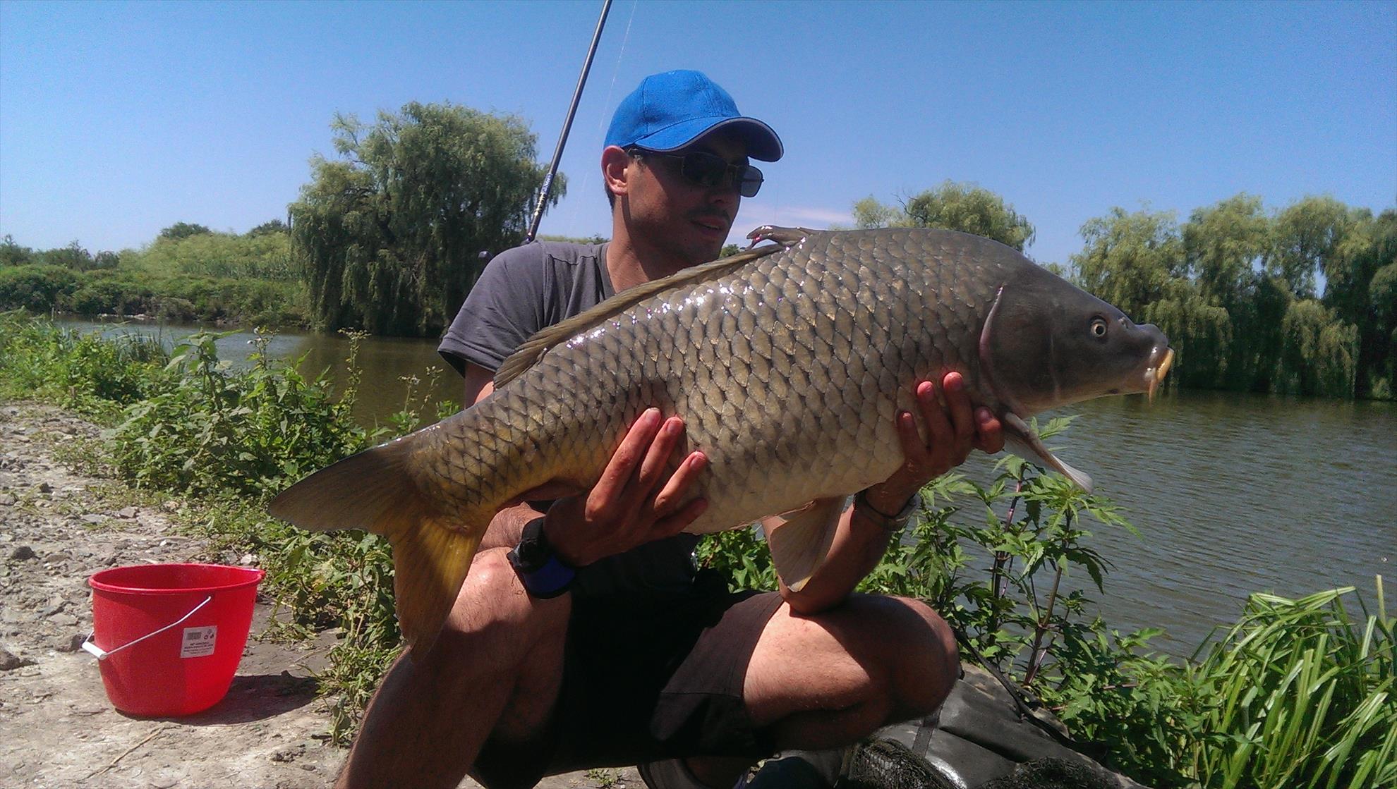 Hermes Peris 22 - 23 iunie 2014 - imag11281.jpg